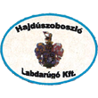 Hajdúszoboszló SE